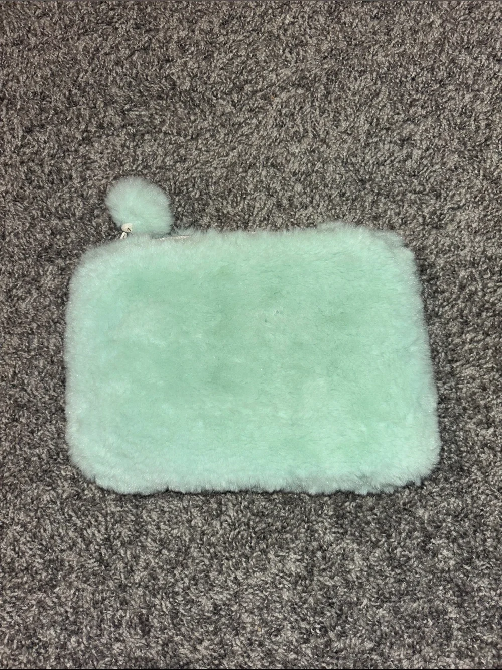 Pottery Barn Teen Mint Plush Cat Pouch with Pom-Zip